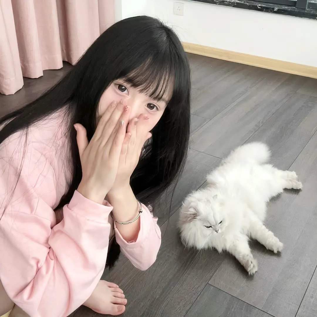 奈良来信 海报